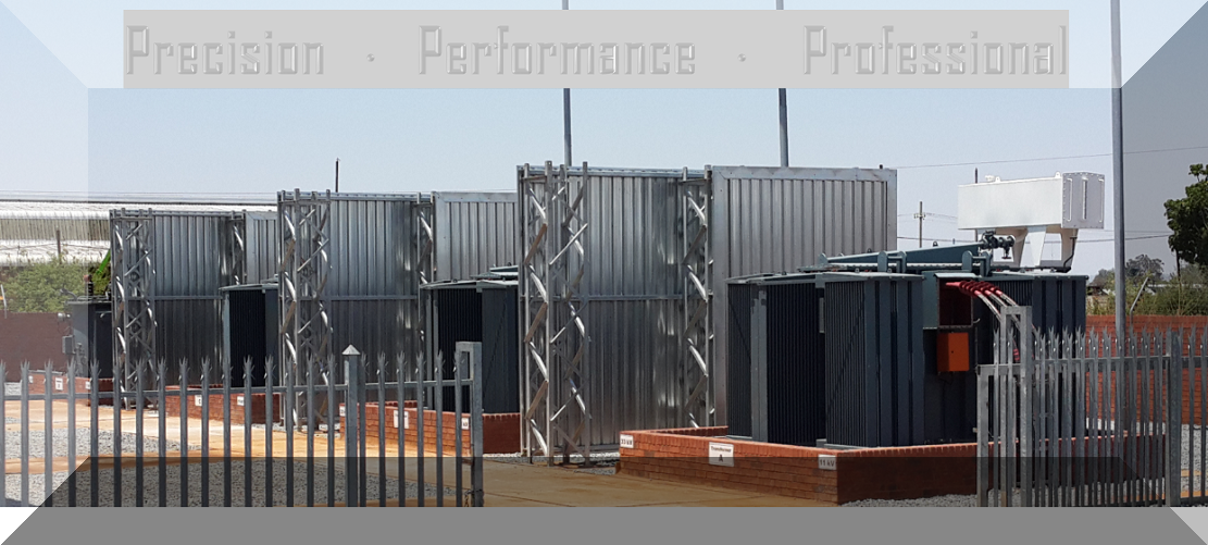 Precision_Performance_Professional2